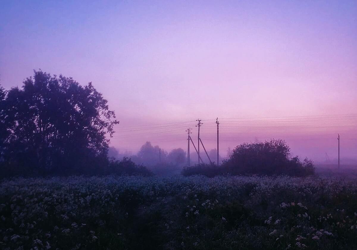 九游官网——开启极致游戏体验的新天地